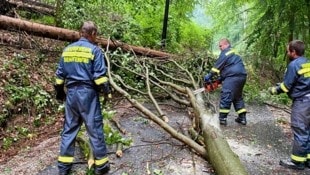 Drei Einsätze in eineinhalb Stunden verzeichnete die Feuerwehr Senftenberg. (Bild: FF Senftenberg)