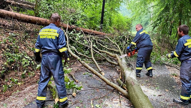 The Senftenberg fire department was called out three times in one and a half hours. (Bild: FF Senftenberg)