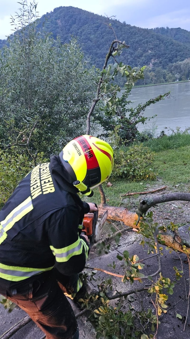 Die B3 bei Dürnstein musste wegen Sturmschäden vorübergehend gesperrt werden. (Bild: FF Dürnstein/Michael Pfaffinger)