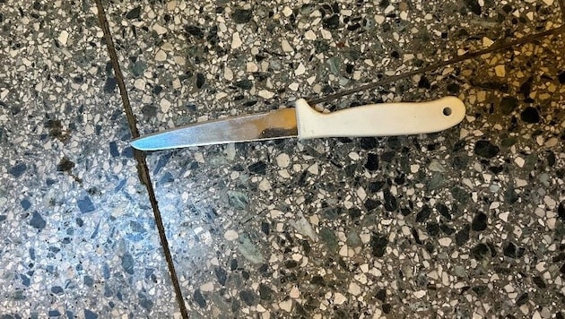 The man is said to have threatened his 62-year-old mother with this knife. The weapon was seized. (Bild: LPD Wien)