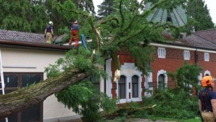 Im Innviertel richtete das Unwetter mit münzgroßen Hagelkörnern große Schäden an, in Ried ...