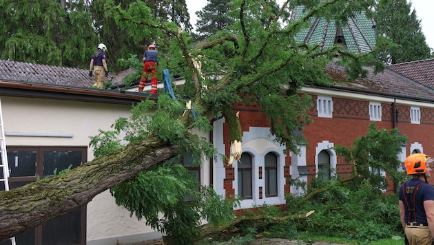 In the Innviertel region, the storm caused extensive damage with coin-sized hailstones and a tree fell on a house in Ried. (Bild: aumat/Matthias Lauber)