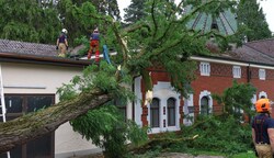 Im Innviertel richtete das Unwetter mit münzgroßen Hagelkörnern große Schäden an, in Ried stürzte ein Baum auf ein Haus. (Bild: aumat/Matthias Lauber)