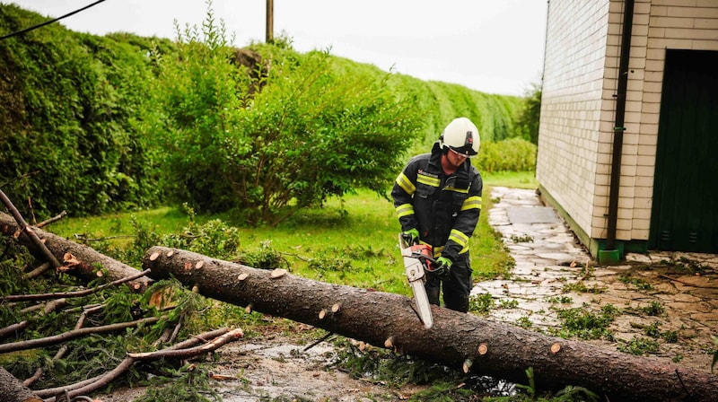 Several trees fell on Wednesday, especially in the Innviertel region. (Bild: Scharinger Daniel)