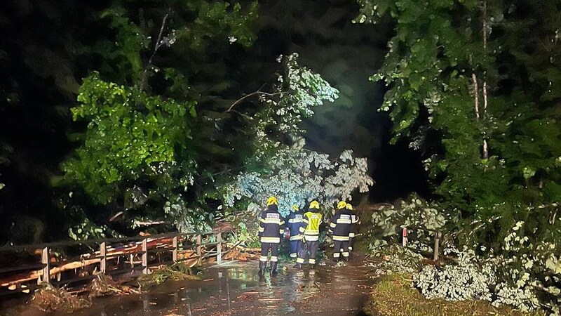 Mehrere Straßen wurden gesperrt. (Bild: FF Preitenegg)