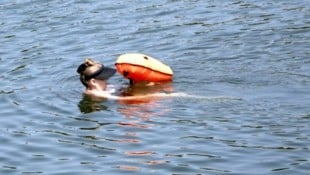 Nach dem regnerischen Wochenende dürfen wir uns endlich wieder auf Sonne freuen. Bis zu 33 Grad ...