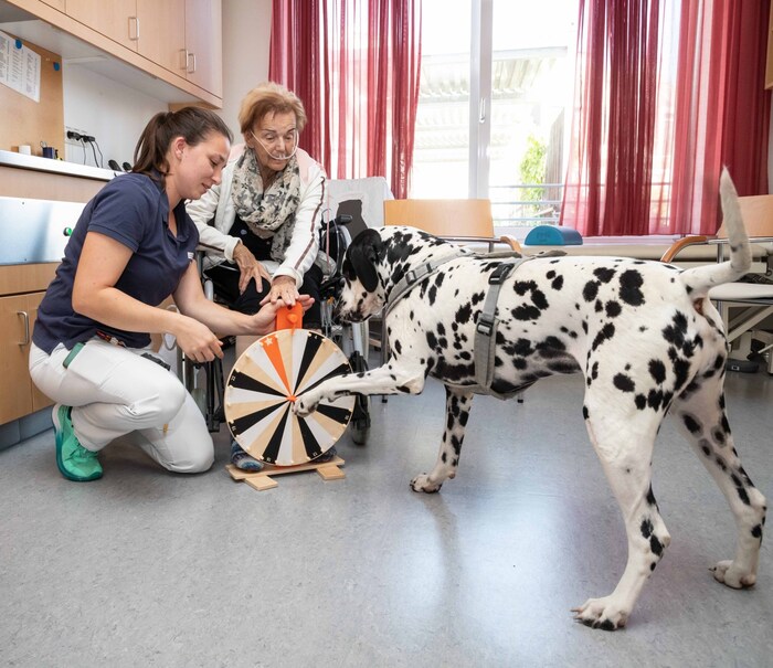 „Beetle“ hilft den Patienten mit spielerischen Übungen unter anderem ihre Feinmotorik zu ...