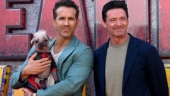 Ryan Reynolds, Hugh Jackman und „Dogpool“ (Bild: APA/AFP/JUSTIN TALLIS)