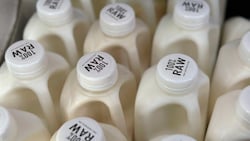 Entgegen jeglicher Empfehlungen trinken immer mehr Menschen in den USA Rohmilch – mit bereits ernsthaften Konsequenzen. (Bild: AP ( via APA) Austria Presse Agentur/JoNel Aleccia)