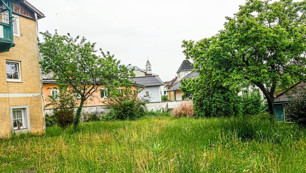 According to the ÖVP and FPÖ, some of the documents relating to the development of this private ...
