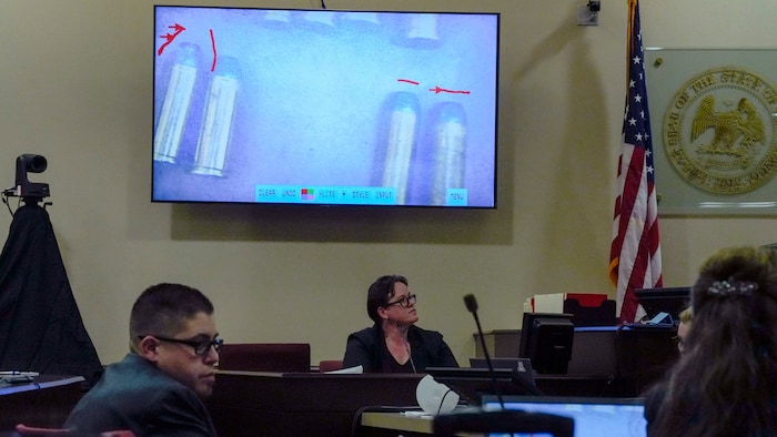 Forensic scientist Marissa Poppell had to answer questions from the court on Thursday.