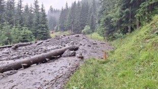 Der Murenabgang auf der L273 Villgratentalstraße (Bild: Land Tirol)