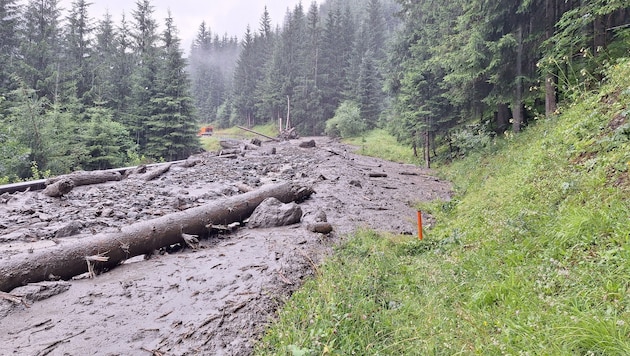 Der Murenabgang auf der L273 Villgratentalstraße sorgte dafür, dass Inner- und Außervillgraten nicht erreichbar waren. (Bild: Land Tirol)