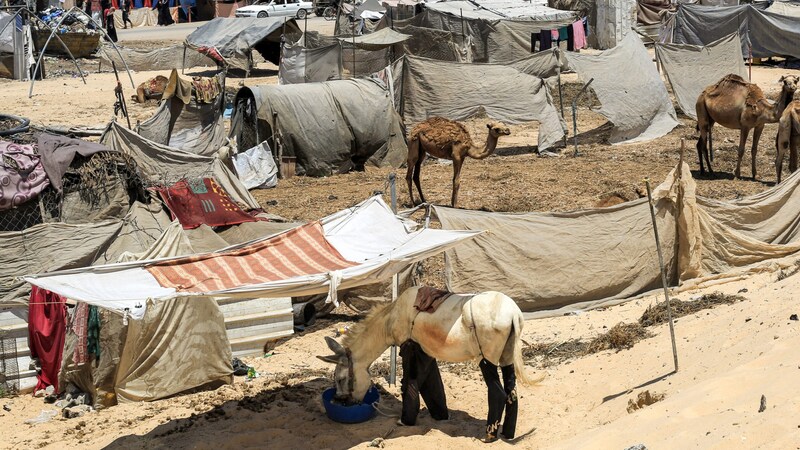 Refugee camp in Khan Younis (Bild: AFP/Eyad Baba)