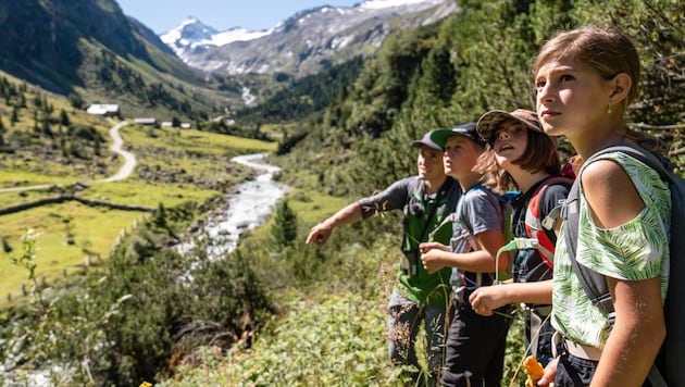 Tiere beobachten, wandern, Feuer machen und draußen schlafen – in Neukirchen Tagesprogramm von Kindern. (Bild: Nationalpark Hohe Tauern)