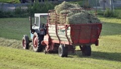 Derzeit wird der letzte Schnitt des Jahres eingebracht. In Maria Neustift verunglückte ein Landwirt mit seiner Heufuhre (Symbolbild) (Bild: Manuel Schwaiger/Krone KREATIV (Symbolbild))