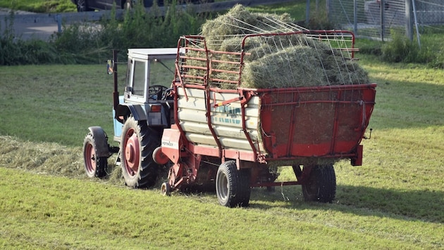 Derzeit wird der letzte Schnitt des Jahres eingebracht. In Maria Neustift verunglückte ein Landwirt mit seiner Heufuhre (Symbolbild) (Bild: Manuel Schwaiger/Krone KREATIV (Symbolbild))