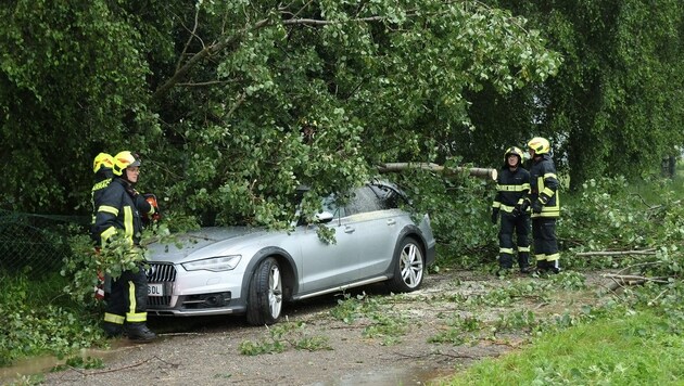 In Zeltweg, a tree crashed into a car and a young woman was injured. (Bild: Nico Schaden)