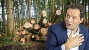 Landwirtschaftsminister Norbert Totschnig erzürnt die Umweltorganisationen.