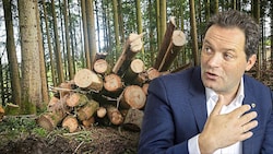 Landwirtschaftsminister Norbert Totschnig erzürnt die Umweltorganisationen. (Bild: Krone KREATIV/zeitungsfoto.at/Liebl Daniel, Daniel Scharinger)