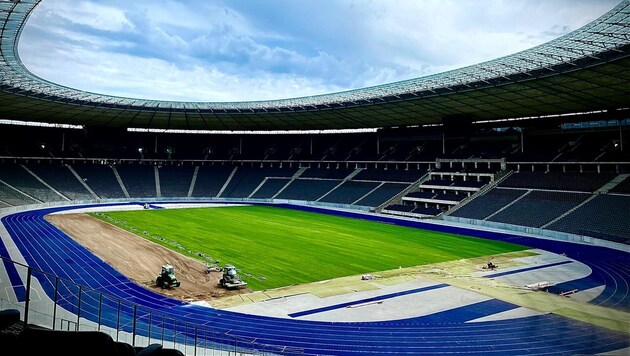 Rasen-Arbeiten im Berliner Olympiastadion (Bild: Richter Rasen)