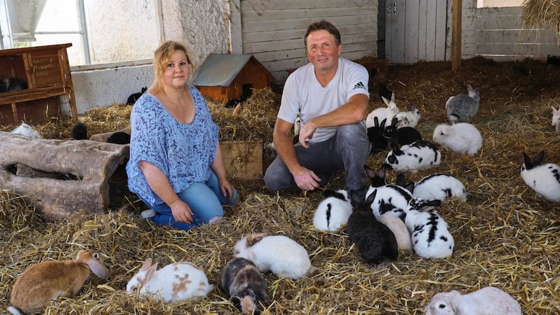 Ingrid and Michael Stracke, where the poor animals are now being nursed and cared for (Bild: Jauschowetz Christian)