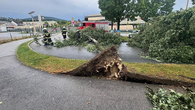 Storms caused severe damage in Styria at the weekend (Bild: APA/STADTFEUERWEHR WEIZ)