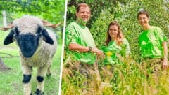 Familie Kovanda und deren (Natur-)Schützlinge der Spezies Walliser Schwarznasenschaf (Bild: Krone KREATIV/Kovanda/Martin Hron Kovanda)