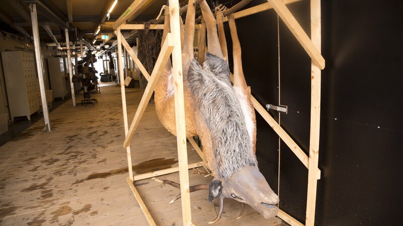 Im „Freischütz“ geht´s um die Jagd... (Bild: Mathis Fotografie)