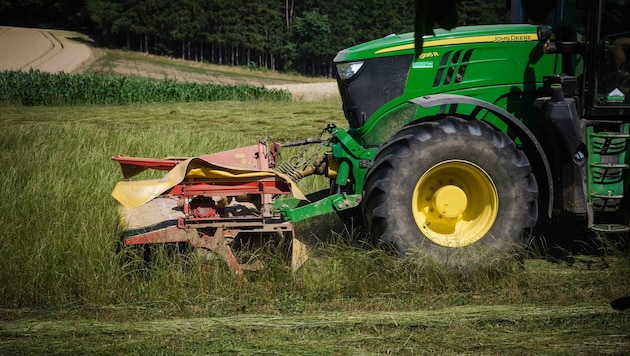 Die Zeitfenster für die Heuernte waren heuer durch anhaltenden Regen oft sehr schmal (Bild: Scharinger Daniel/Pressefoto Scharinger © Daniel Scharinger)