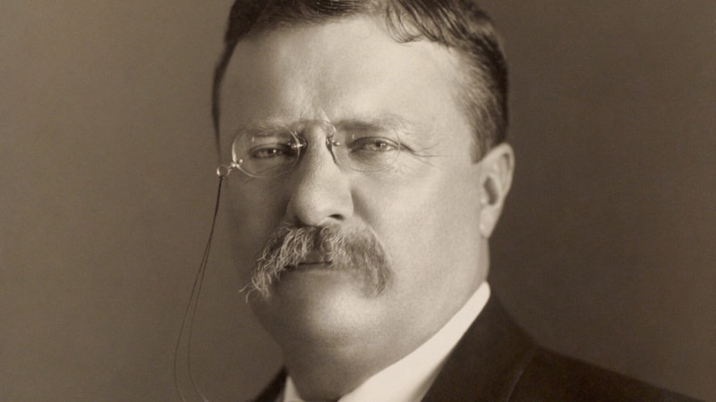 Theodore Roosevelt überlebte ein Attentat im Jahr 1912. (Bild: US Library of Congress)