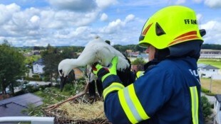 Die Feuerwehr brachte das Storchenjunge zurück ins neue Nest. (Bild: FF Andorf/Bernhard Rosenberger Photography)