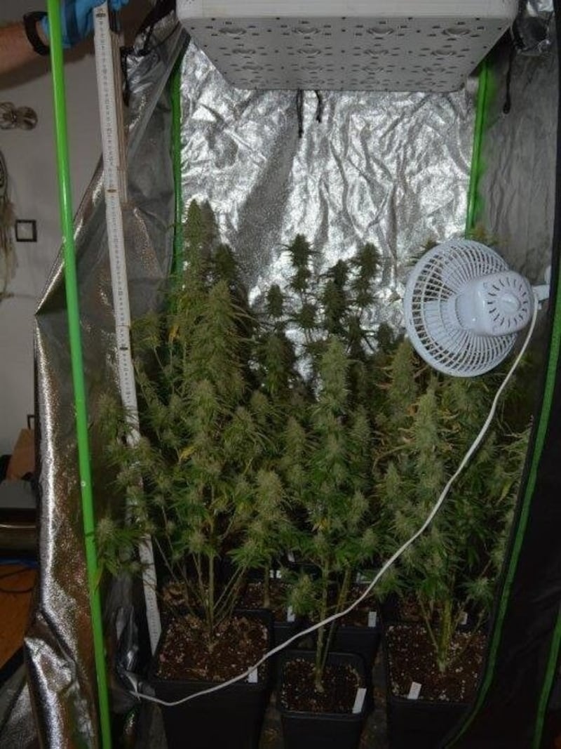 The police could already see the grow tent from the front door. (Bild: LPD Salzburg)