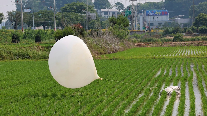 Nordkorea schickte mit Müll gefüllte Säcke an Luftballons nach Südkorea. (Bild: AP)