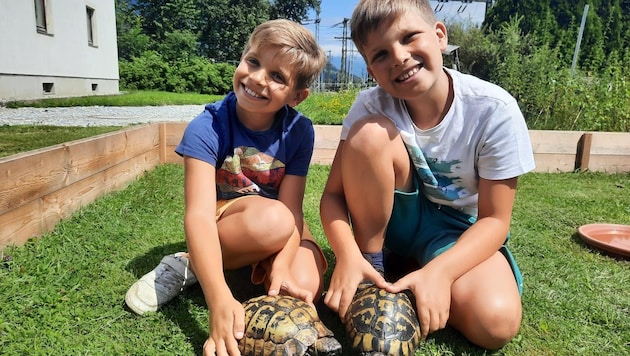 Leo und Tobias (re.) mit den beiden, wiedervereinten Schildkröten. (Bild: zVg)