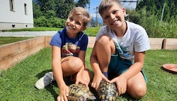 Leo und Tobias (re.) mit den beiden, wiedervereinten Schildkröten. (Bild: zVg)