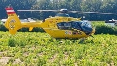 Rettungseinsatz am Badesee: Zwei Babys kamen ins Spital. (Bild: Christian Schulter)