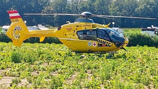 Rescue operation at the bathing lake: two babies were taken to hospital. (Bild: Christian Schulter)