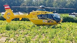 Rettungseinsatz am Badesee: Zwei Babys kamen ins Spital. (Bild: Christian Schulter)