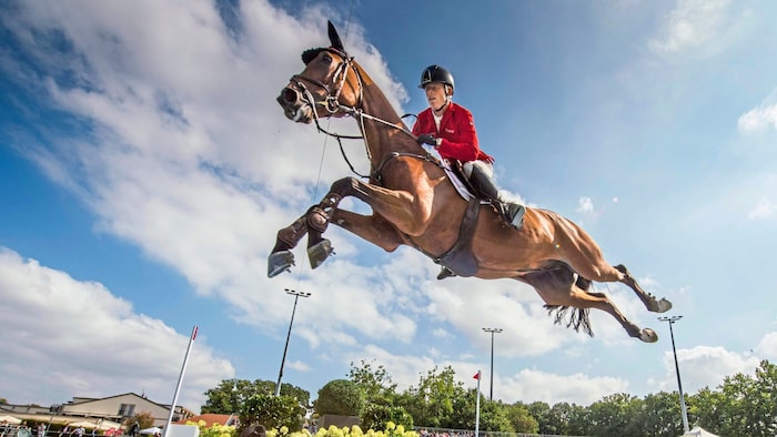 Max Kühner fliegt als langerfahrener Champion über die Hindernisse.