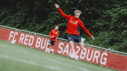 Maurits Kjaergaard hinterlässt im Training einen starken Eindruck. (Bild: FC Red Bull Salzburg/Fabian Weirather)