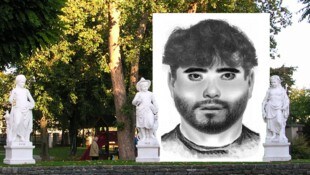 Zu der abscheulichen Tat soll es im Schlosspark in Wieselburg gekommen sein. 