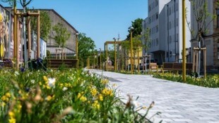 Neugestaltung der Promenade in St. Pölten: Die Pläne wurden jetzt zwischen Linzer Tor und  ...