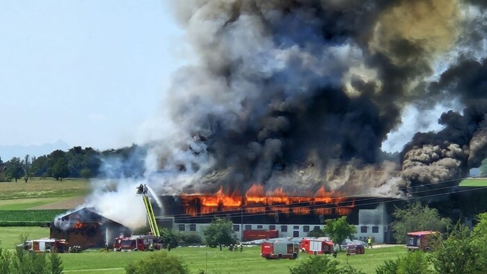 The stable was ablaze with flames