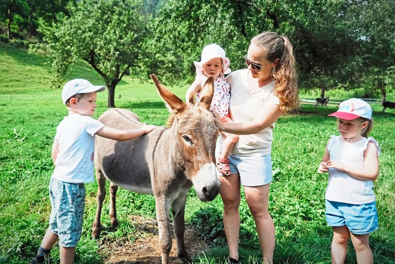 Gerne beim Streicheln zugegriffen haben auch Leopold und Johanna mit ihrer Mama und der kleinen Schwester Elisabeth (Bild: Pail Sepp/Sepp Pail)