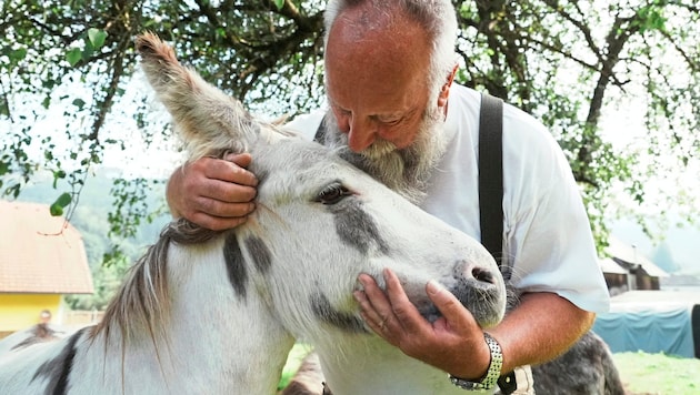 Uli Kettner, der mit viel Hingabe die herausragende Eselrettung von Leoben aus betreut (Bild: Pail Sepp/Sepp Pail)