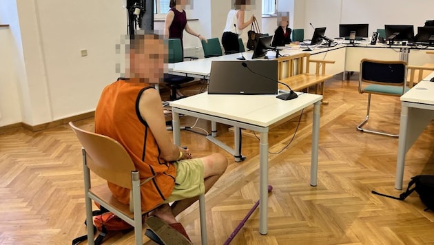 The homeless man (42) pleads partially guilty in Vienna provincial court. (Bild: Pratschner Sophie, Krone KREATIV)