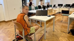 Der Obdachlose (42) im Wiener Landesgericht bekennt sich teilschuldig.