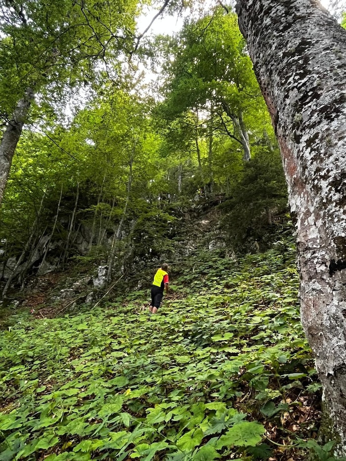 15 Meter im freien Fall stürzte eine Alpinistin am Rückweg vom Klettersteig ab. Sie wurde schwer ...