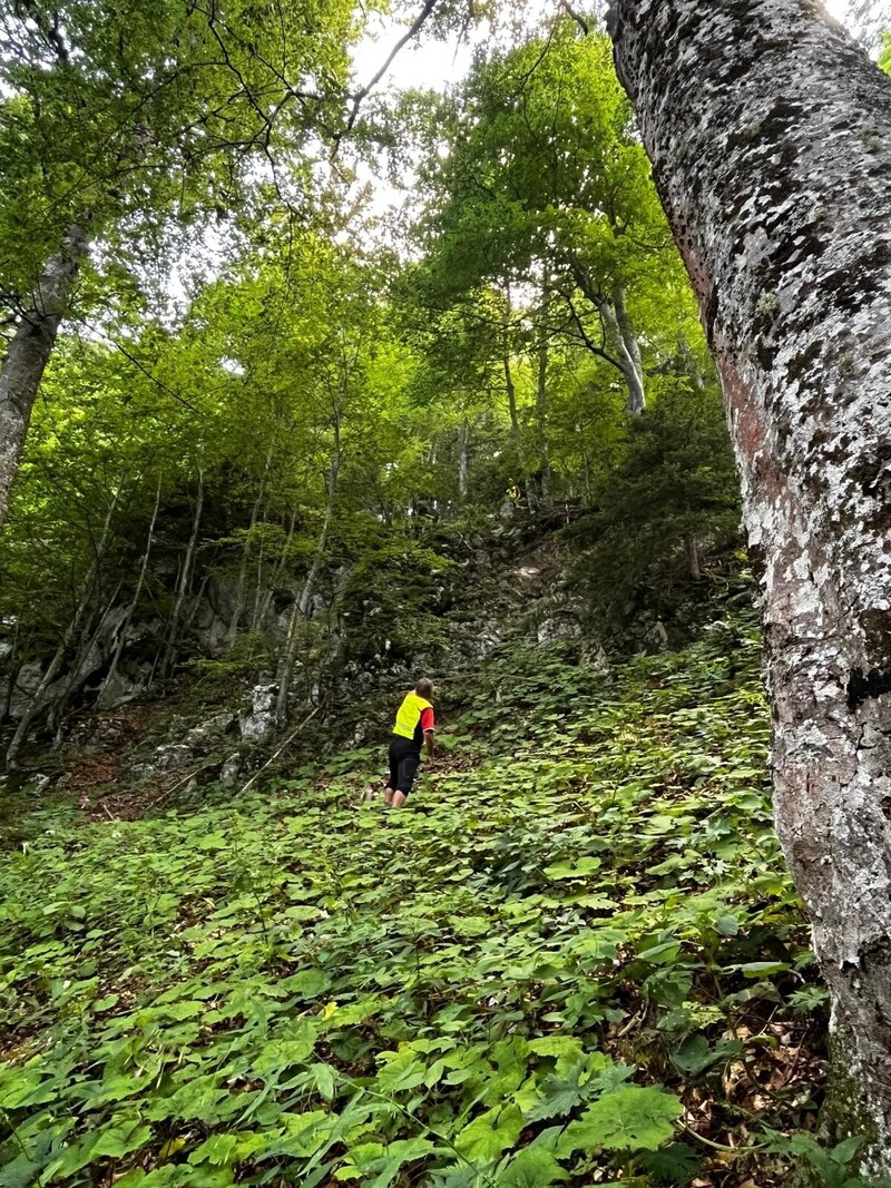 15 Meter im freien Fall stürzte eine Alpinistin am Rückweg vom Klettersteig ab. Sie wurde schwer verletzt. (Bild: Bergrettung Villach )